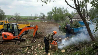 Расчистка участка от деревьев и кустарника в Ставрополе под ключ