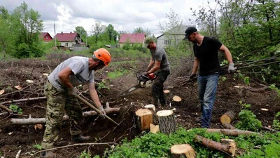 Расчистка участка под строительство в Ставрополе недорого