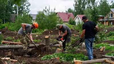 Расчистка участка под строительство в Ставрополе недорого