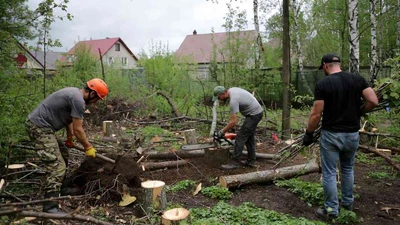 Расчистка участка под строительство разнорабочими в Ставрополе