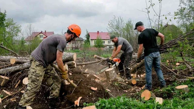 Расчистка участка под строительство недорого в Ставрополе
