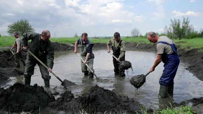 Углубление прудов и водоемов в Ставрополе недорого