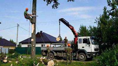 Безопасный спил деревьев на участке в Ставрополе недорого