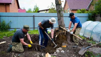 Корчевка пней на участке в Ставрополе без техники - недорого и быстро