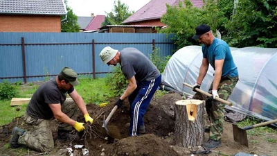 Корчевка пней на участке в Ставрополе недорого с рабочими по сменам