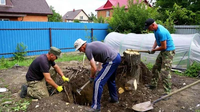 Корчевка пней разнорабочими в Ставрополе - цена услуги от 774 руб.