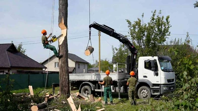 Безопасный спил деревьев на участке в Ставрополе недорого