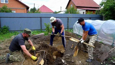 Корчевка пней на участке в Ставрополе без техники - расчет стоимости работ